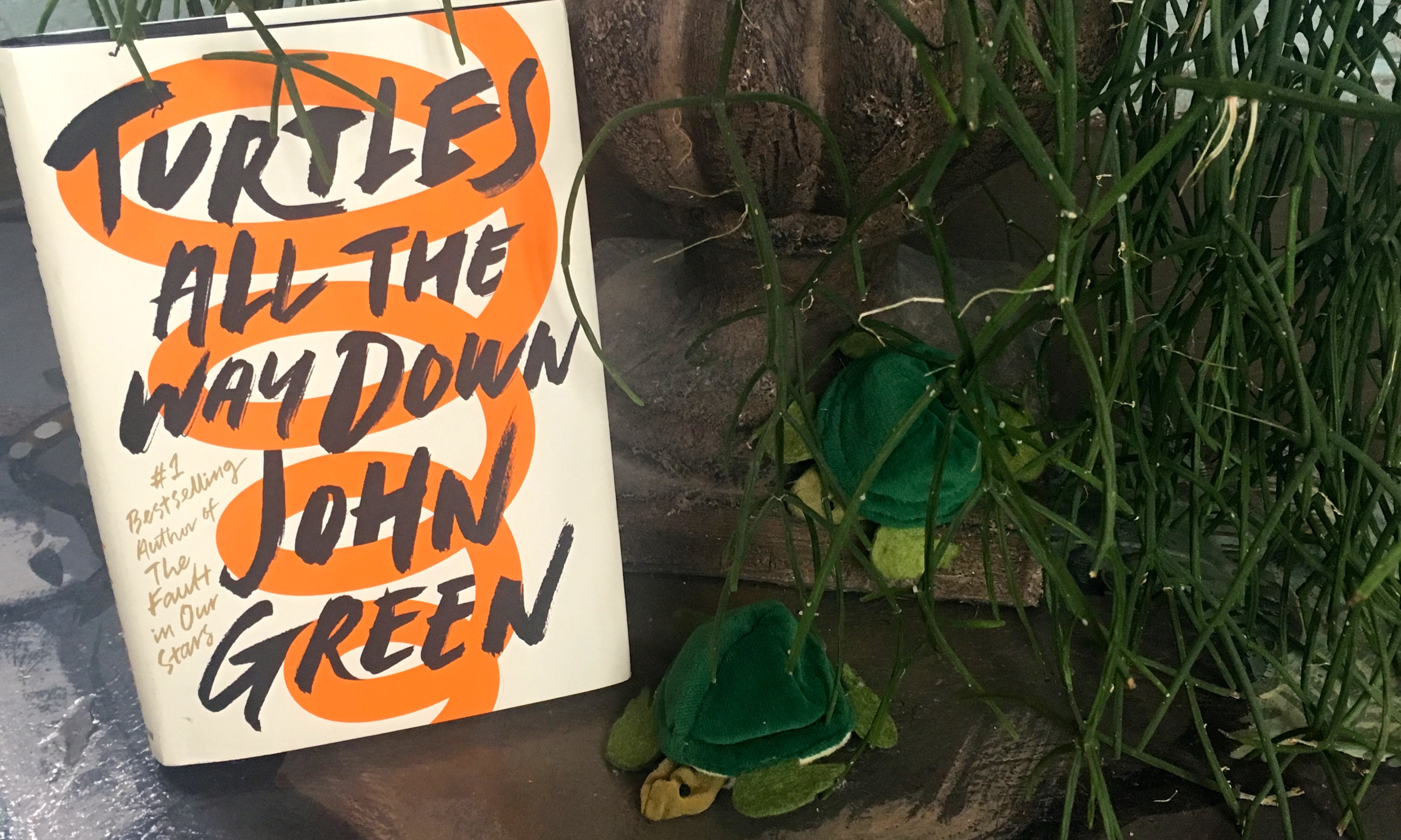 Turtles All the Way Down by John Green