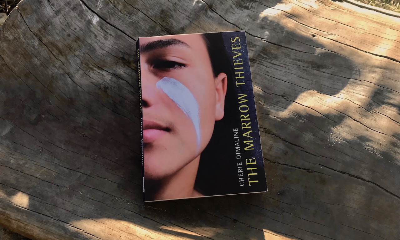 The Marrow Thieves by Cherie Dimaline