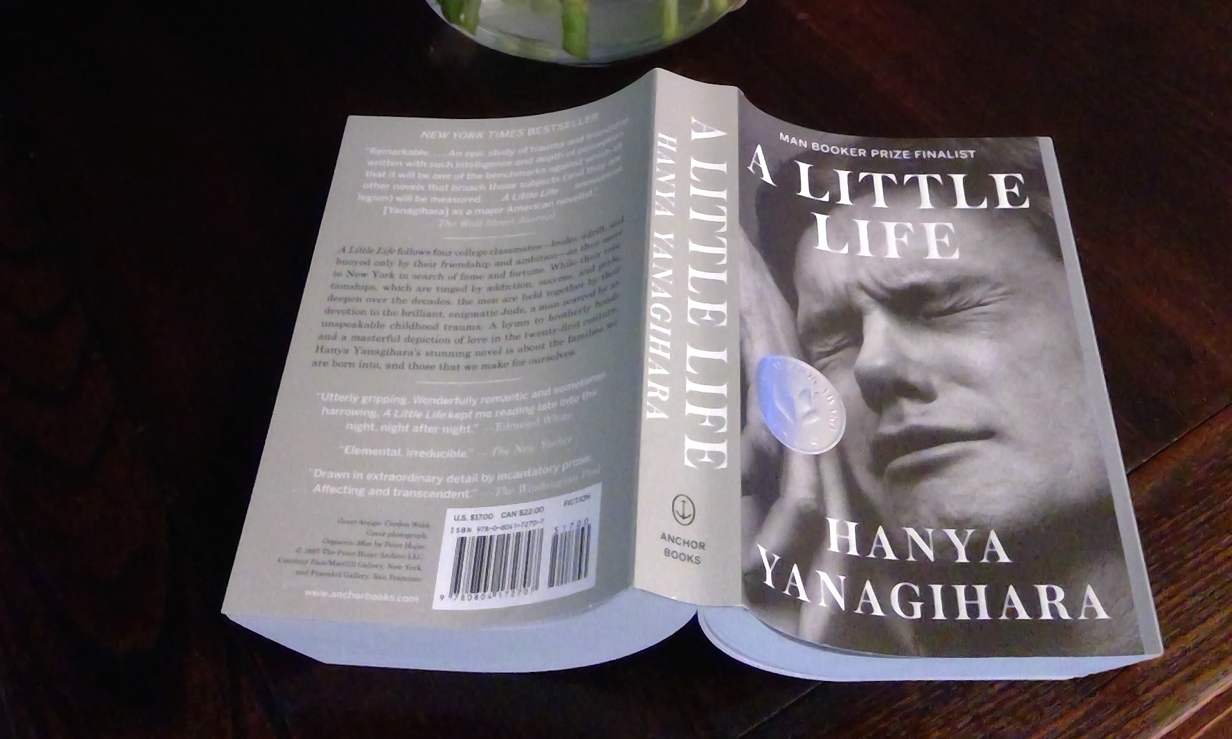 A Little Life by Hanya Yanagihara