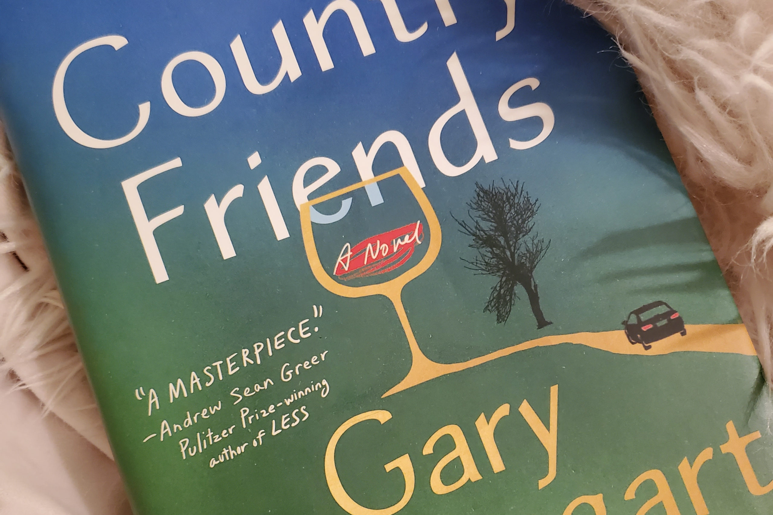 Our Country Friends by Gary Shteyngart