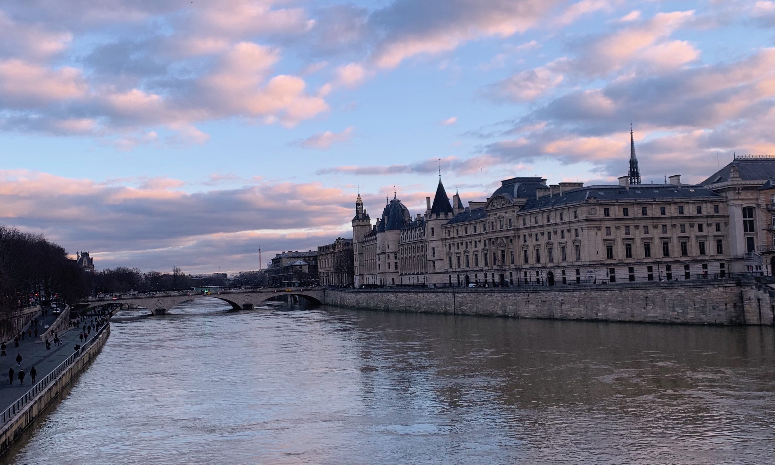 Paris Never Leaves You by Ellen Feldman