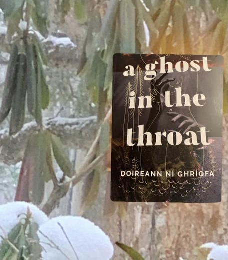 A Ghost in the Throat by Doireann Nì Ghrìofa