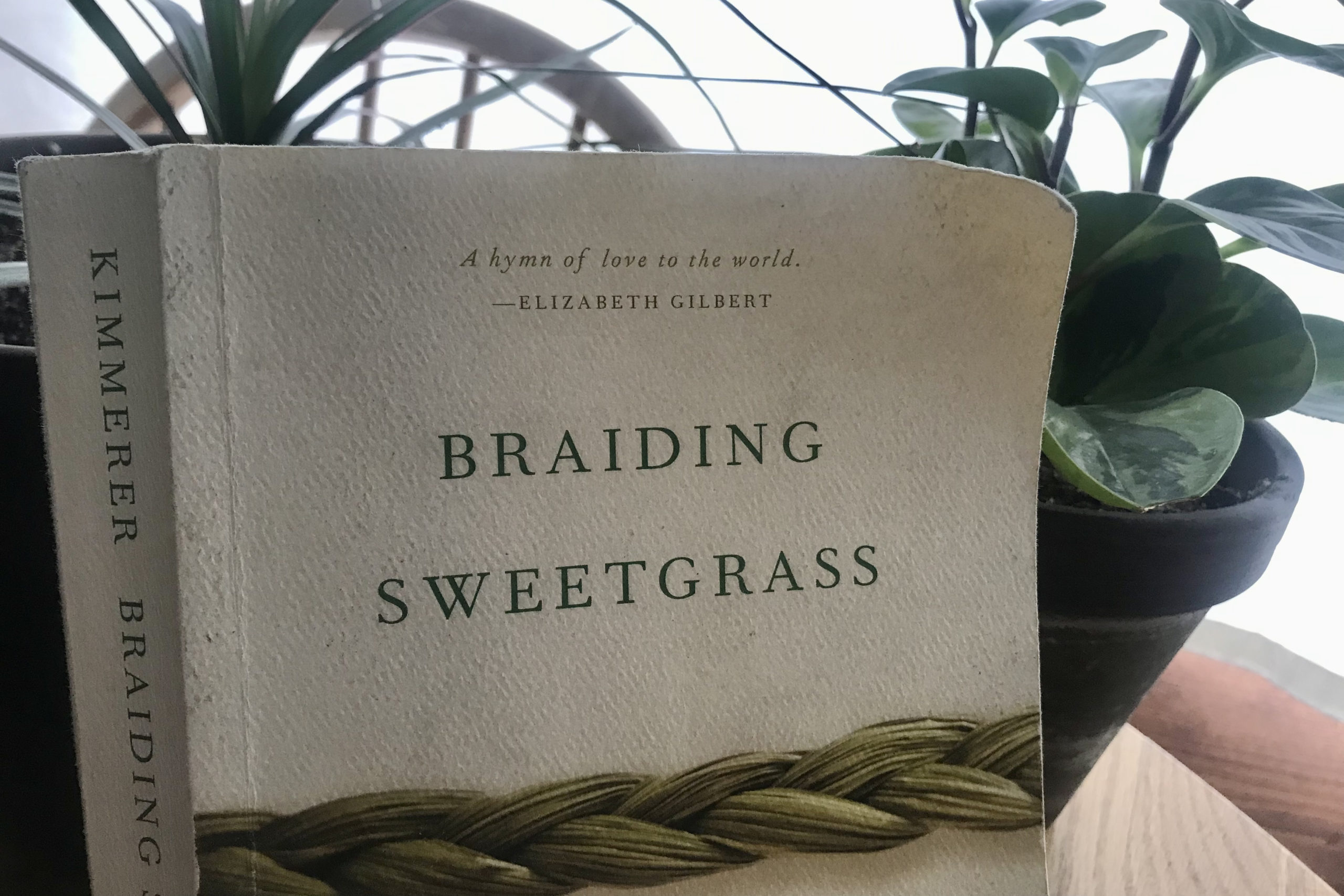 Braiding Sweetgrass: Indigenous Wisdom, Scientific Knowledge and the Teachings of Plants by Robin Wall Kimmerer