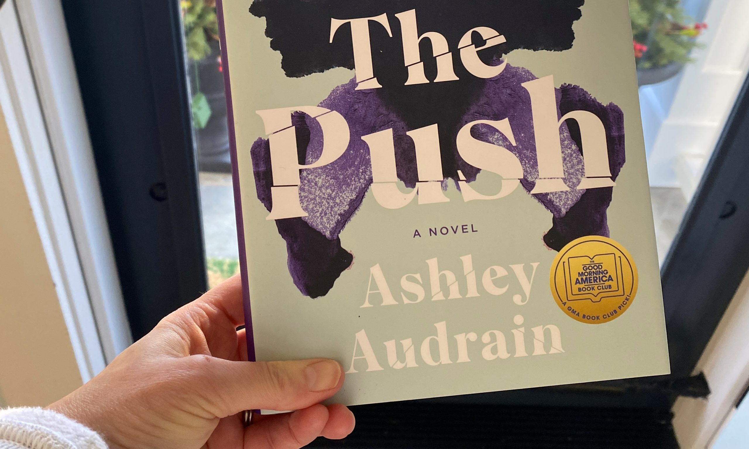 The Push by Ashley Audrain