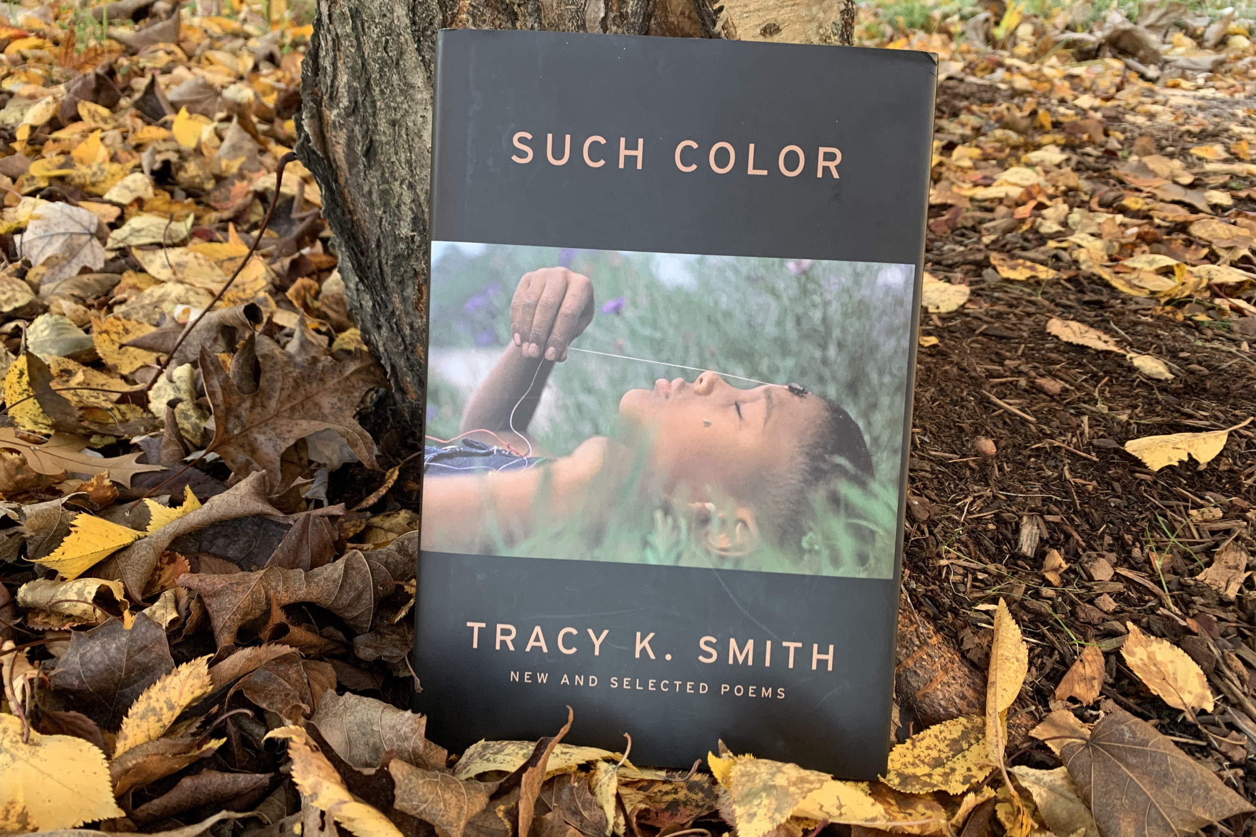 Such Color: New and Selected Poems by Tracy K. Smith