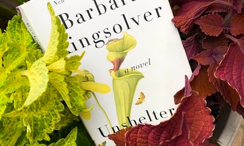 Unsheltered by Barbara Kingsolver