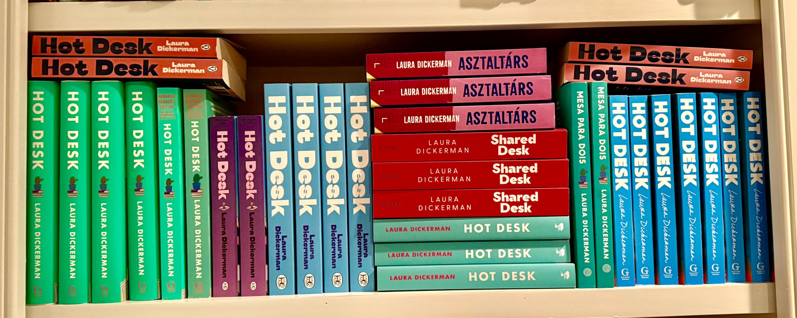 Hot Desk: A Debut Year by Andrea Sarvady and Laura Dickerman