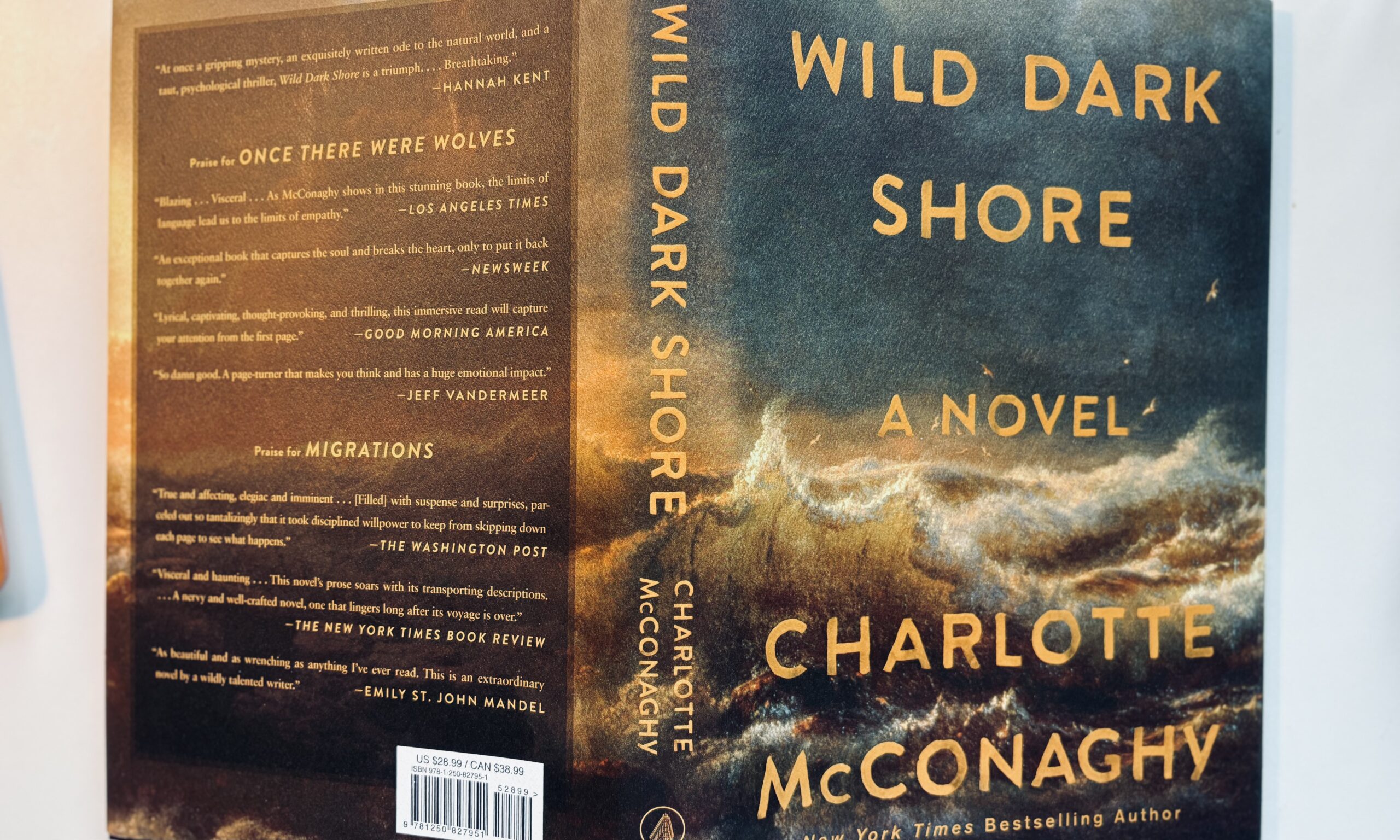 Wild, Dark Shore by Charlotte McConaghy