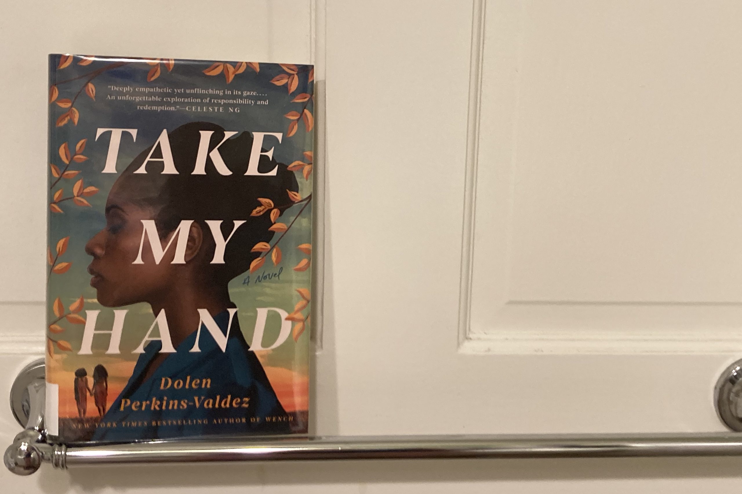 Take My Hand by Dolen Perkins-Valdez