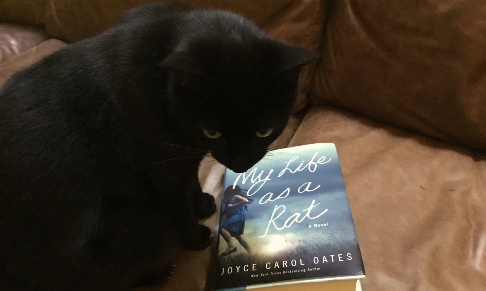 My Life As a Rat by Joyce Carol Oates