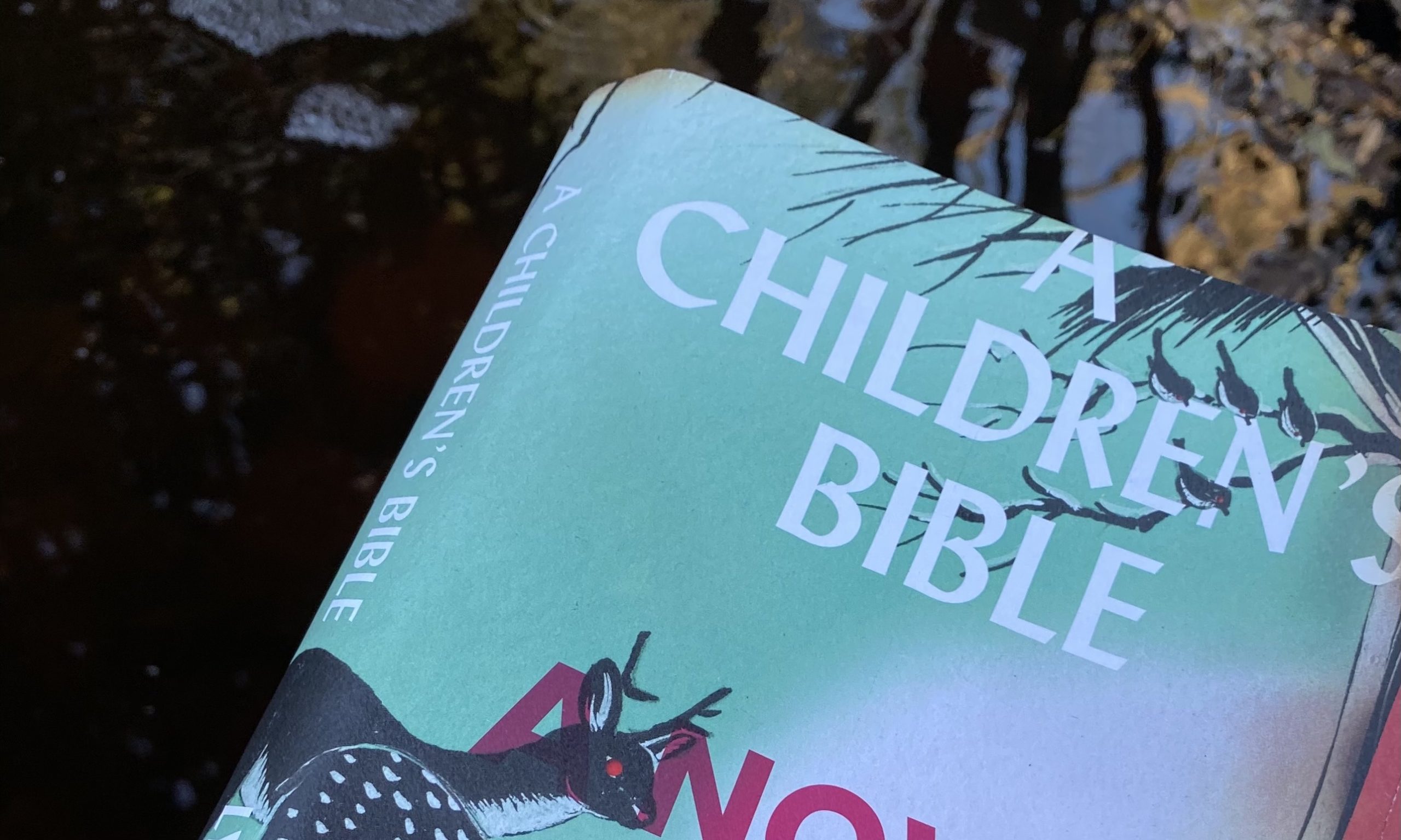A Children’s Bible by Lydia Millet