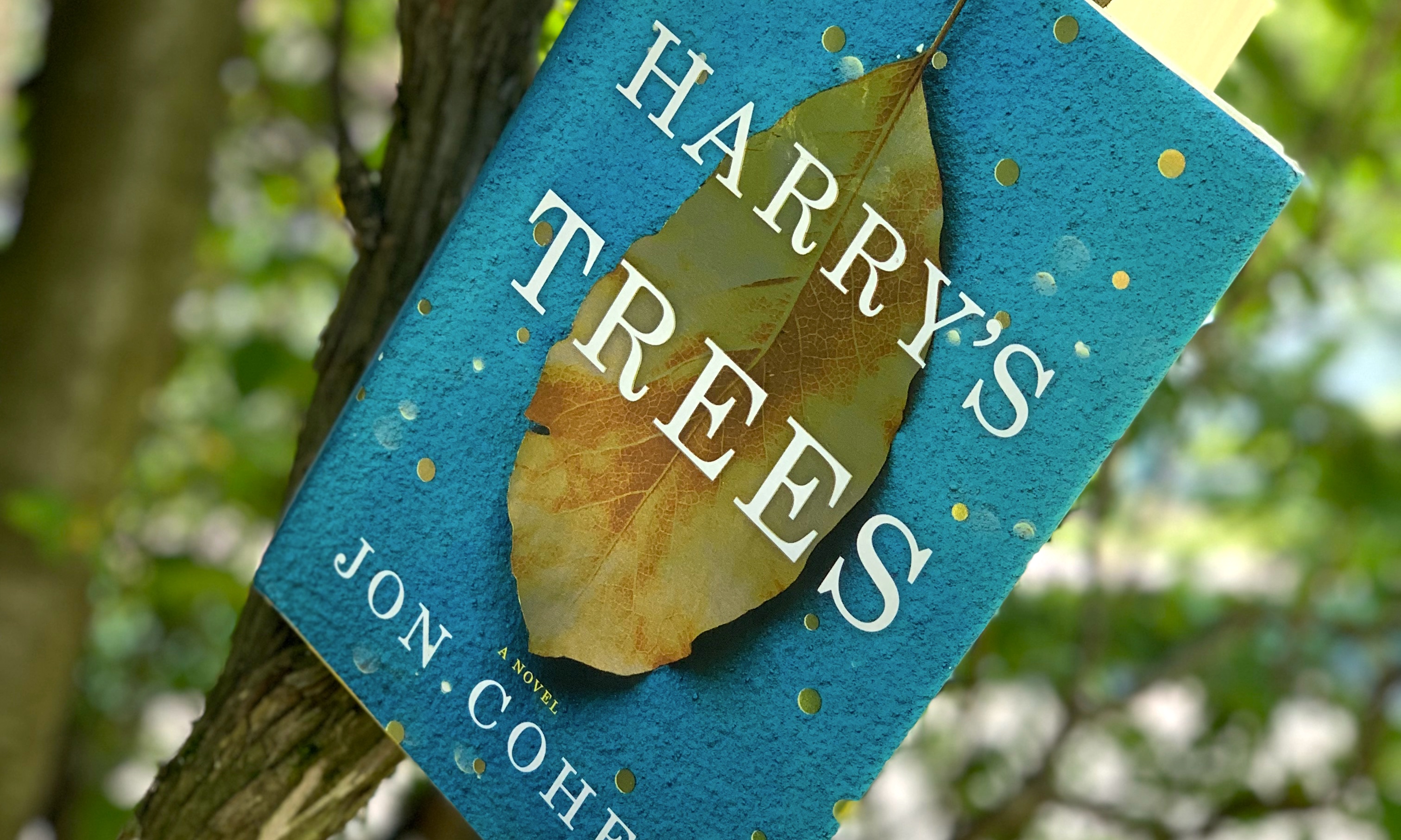 Finding Oneself in a Forest: Harry’s Trees by Jon Cohen