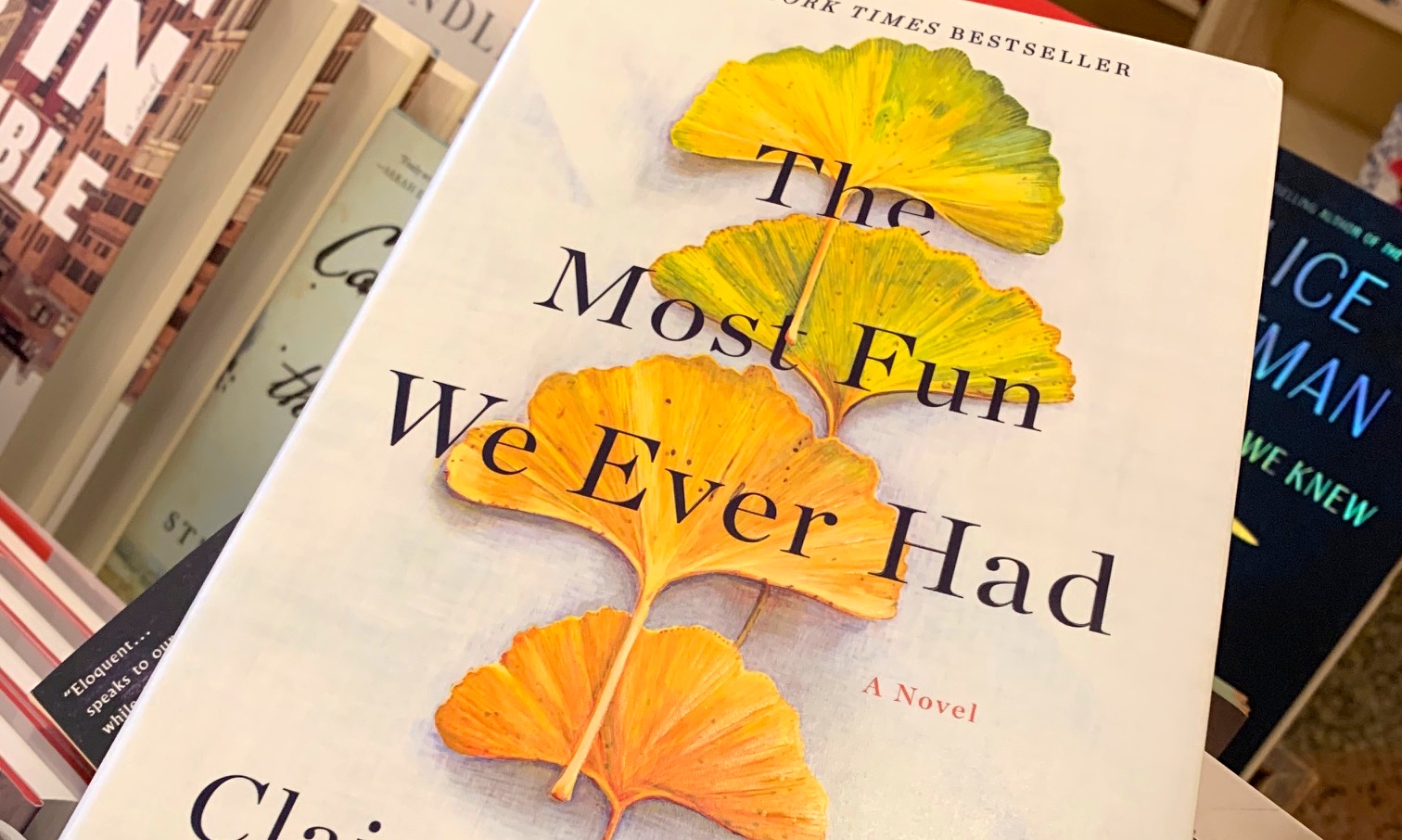 The Most Fun We Ever Had by Claire Lombardo