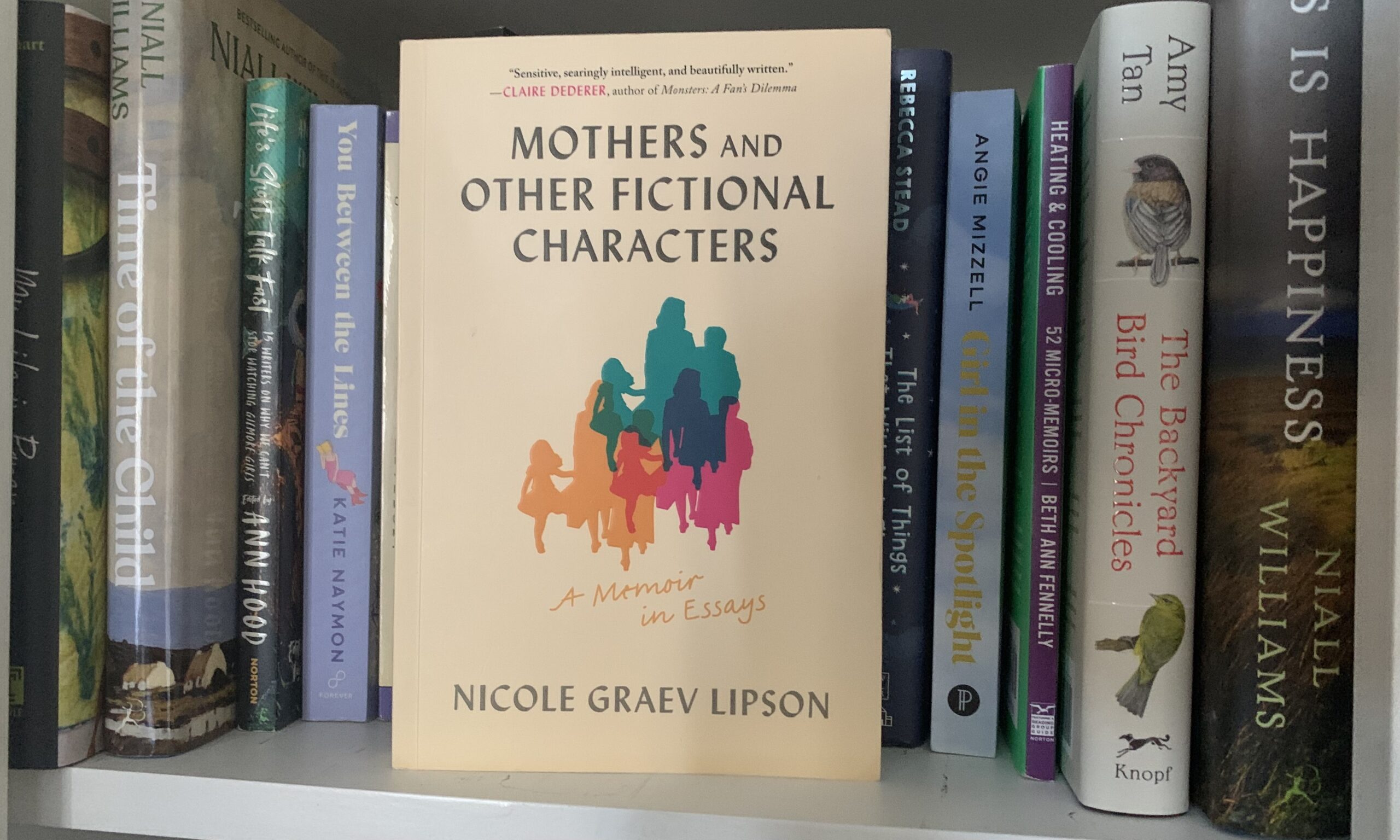 Mothers and Other Fictional Characters by Nicole Graev Lipson