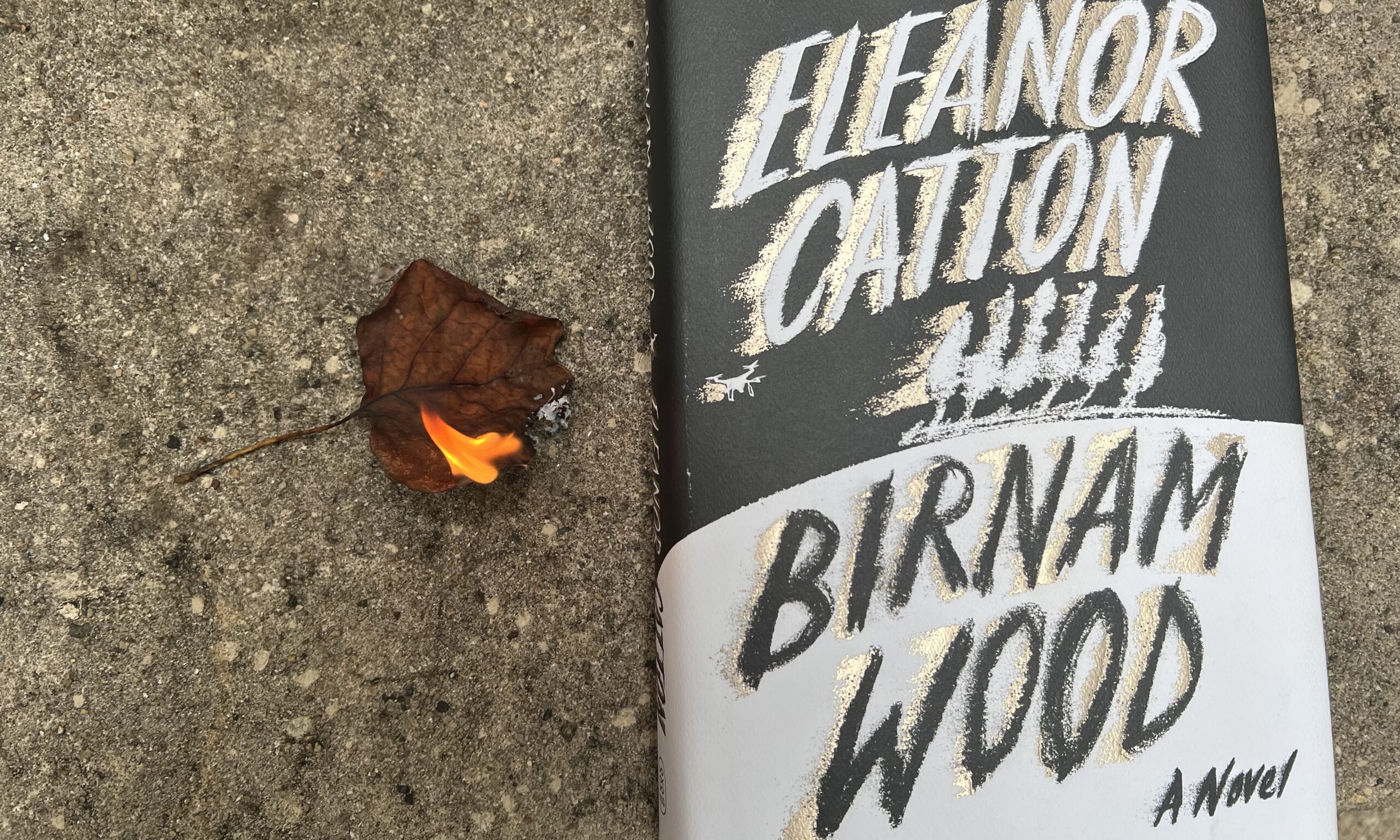 Birnam Wood by Eleanor Catton