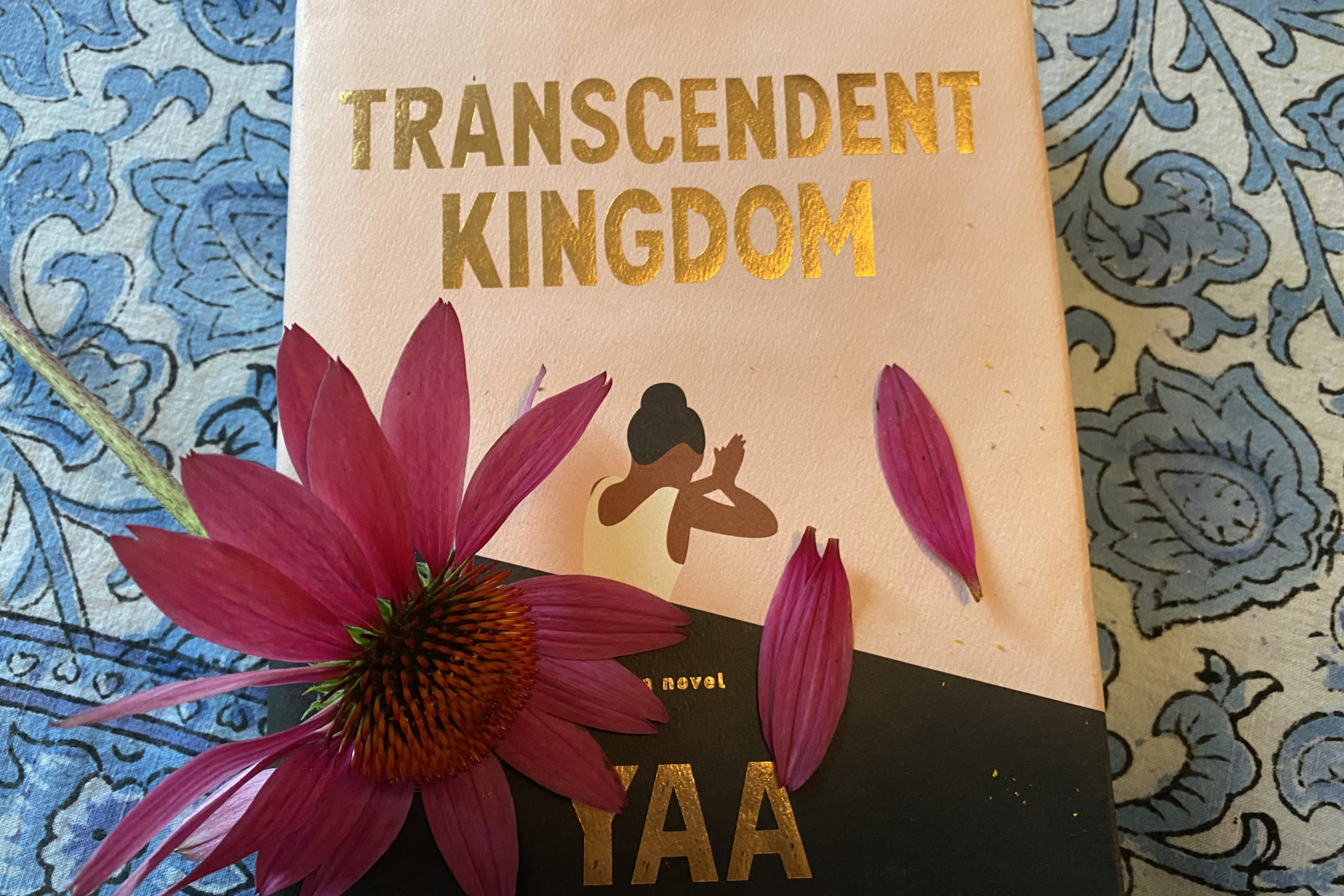 Transcendent Kingdom by Yaa Gyasi