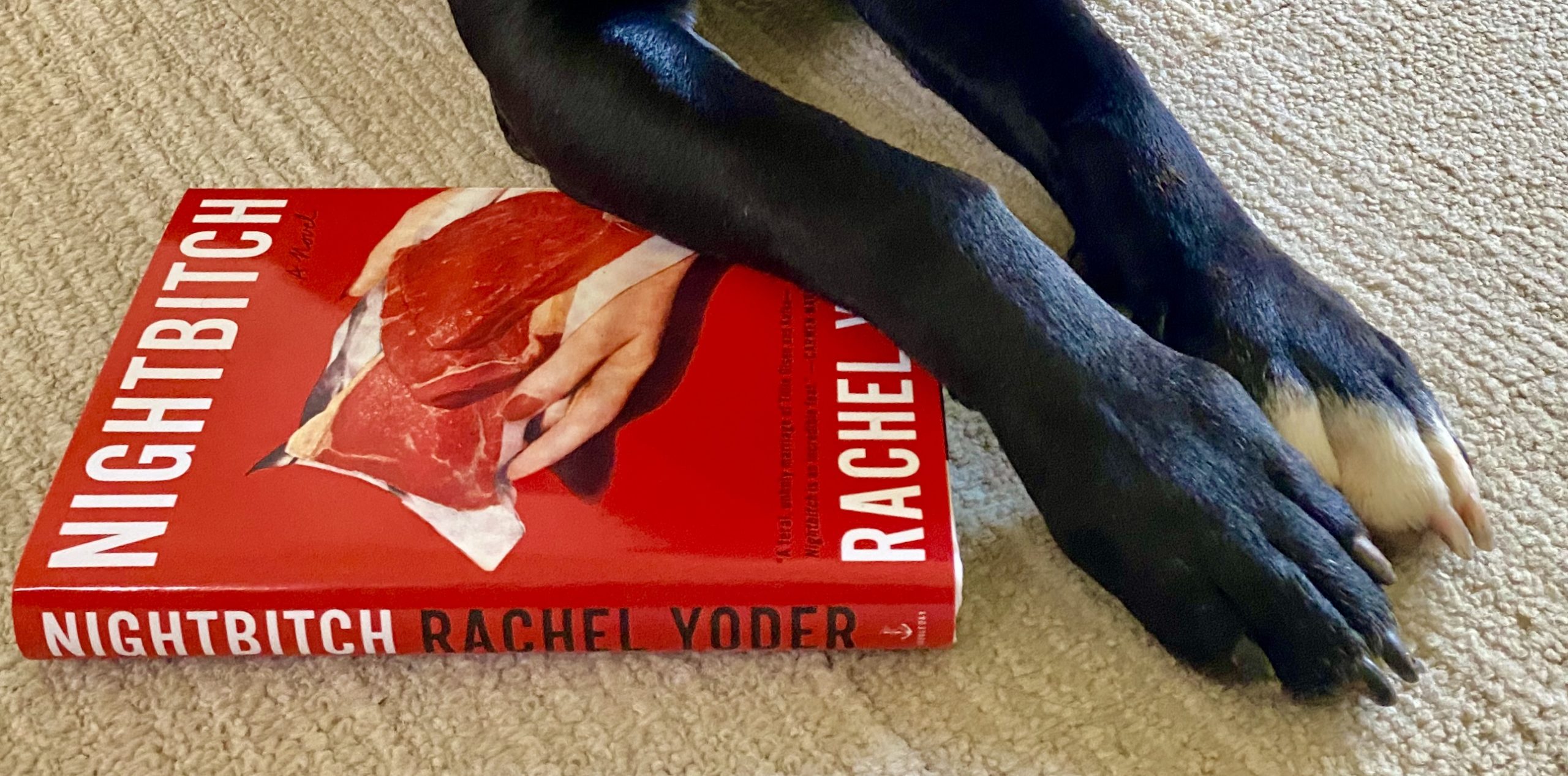 Nightbitch by Rachel Yoder