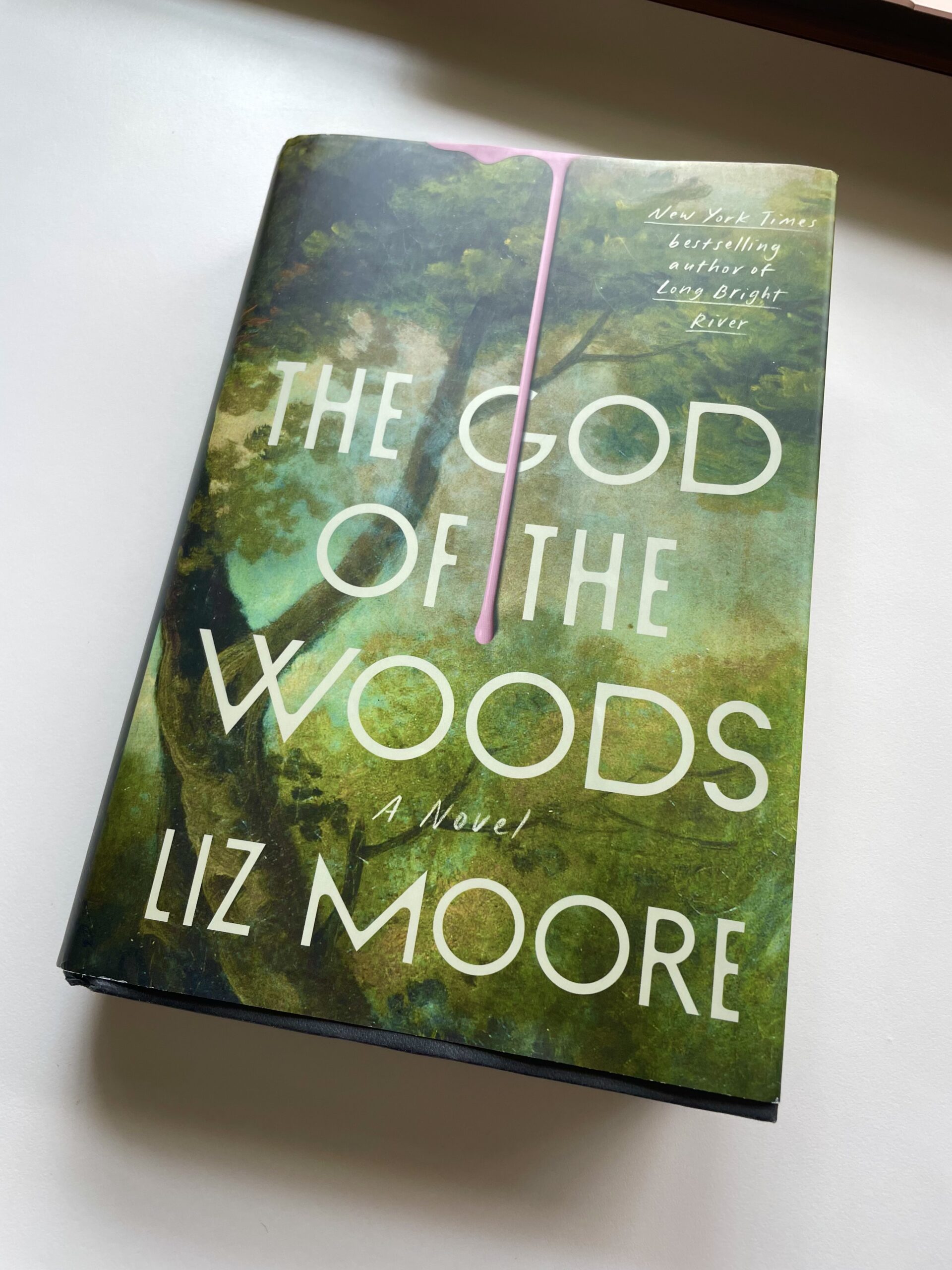 The God of the Woods by Liz Moore