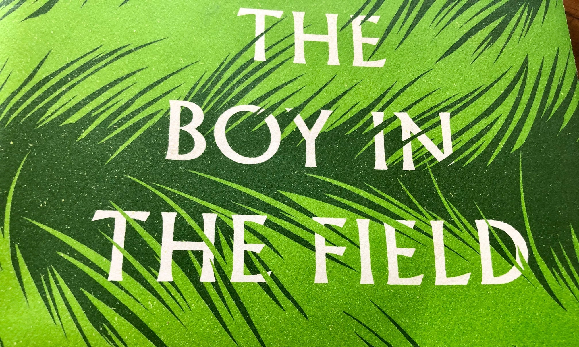 The Boy in the Field by Margot Livesey