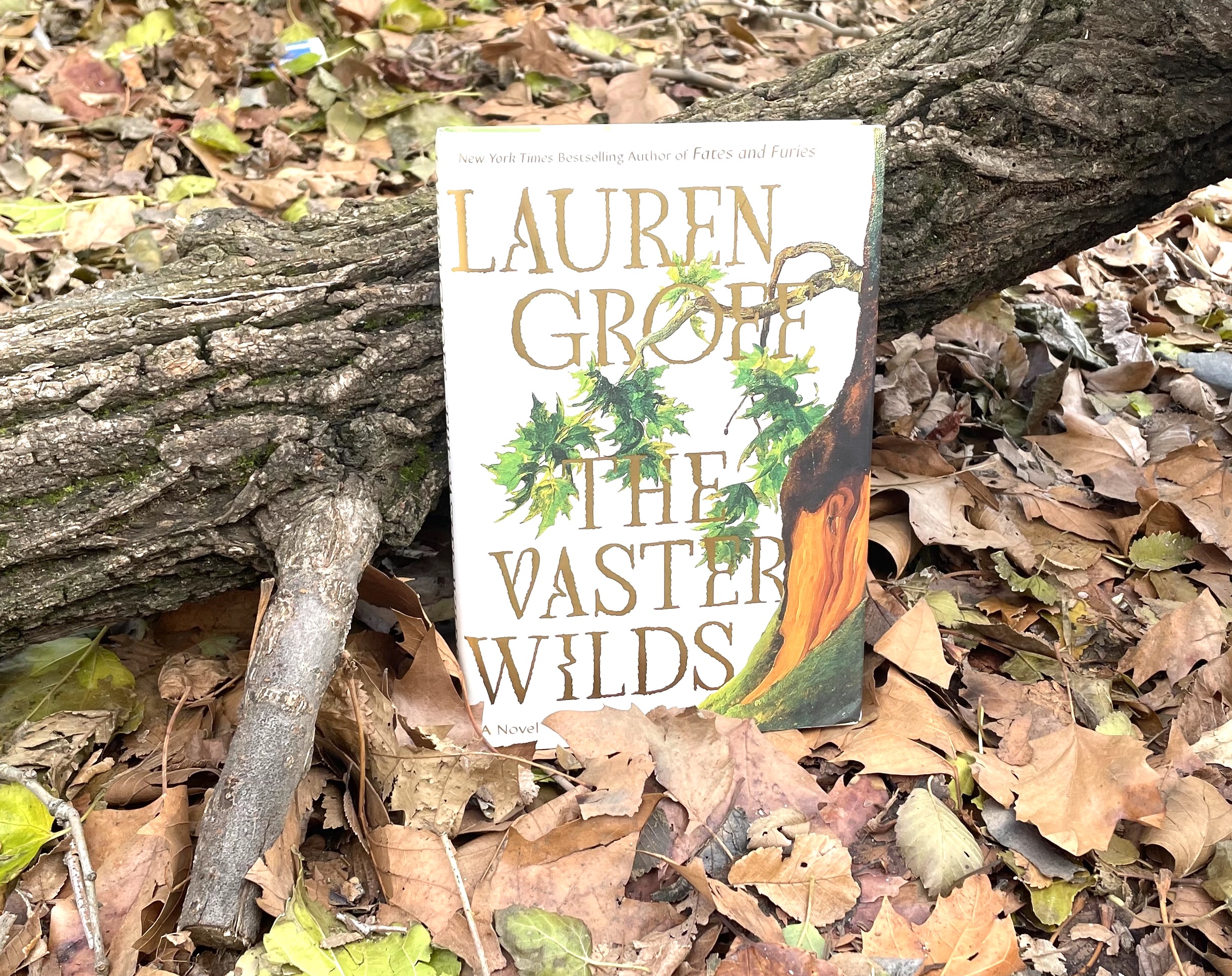 The Vaster Wilds by Lauren Groff