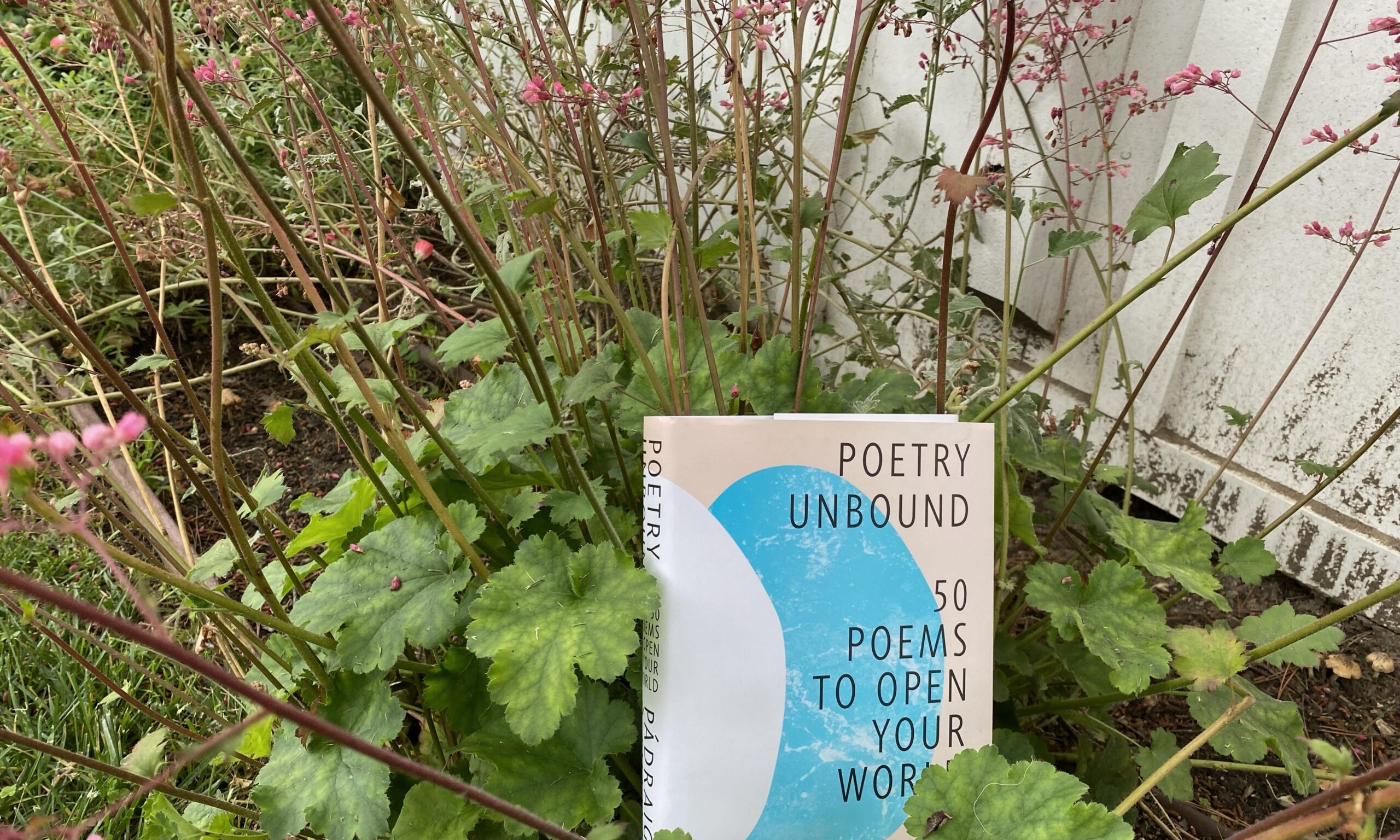 Poetry Unbound: 50 Poems To Open Your World by Pádraig Ó Tuama