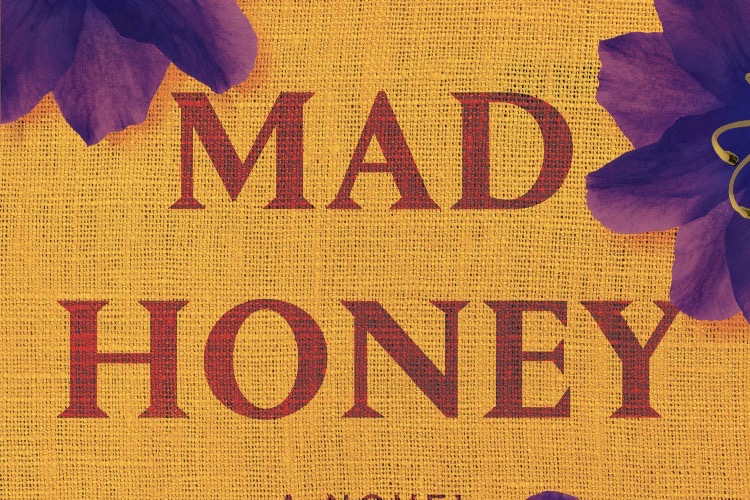 Mad Honey by Jodi Picoult and Jennifer Finney Boyle